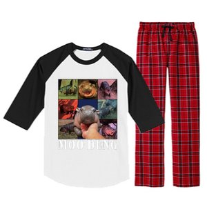 Moodeng Baby Pygmy Hippo Cute Zoo For Family Raglan Sleeve Pajama Set