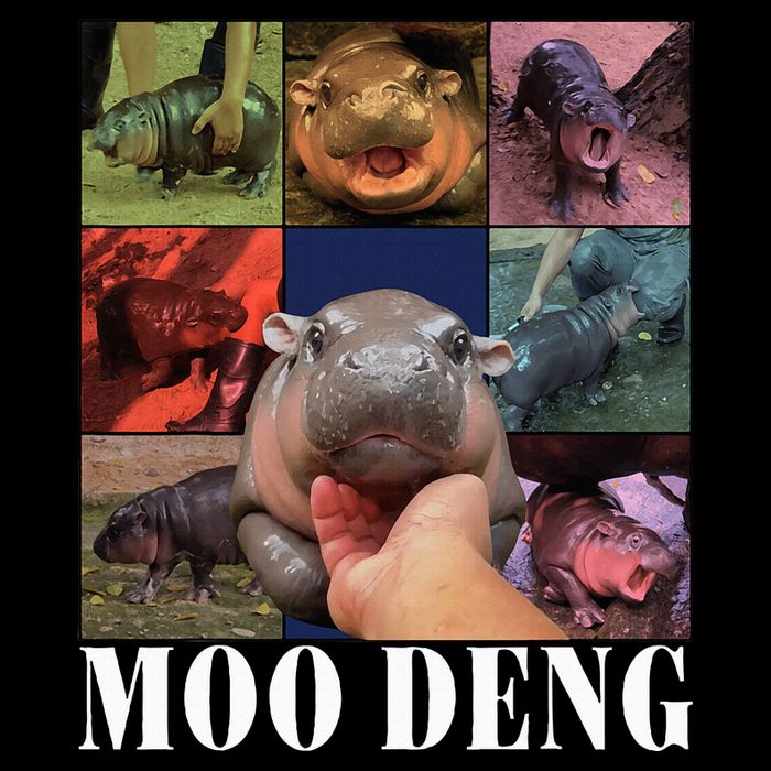 Moodeng Baby Pygmy Hippo Cute Zoo For Family 16 in Basic Backpack
