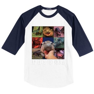 Moodeng Baby Pygmy Hippo Cute Zoo For Family Baseball Sleeve Shirt