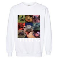 Moodeng Baby Pygmy Hippo Cute Zoo For Family Garment-Dyed Sweatshirt