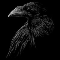 Mystical Black Raven Illustration Crow Artwork Flat Bill Trucker Hat