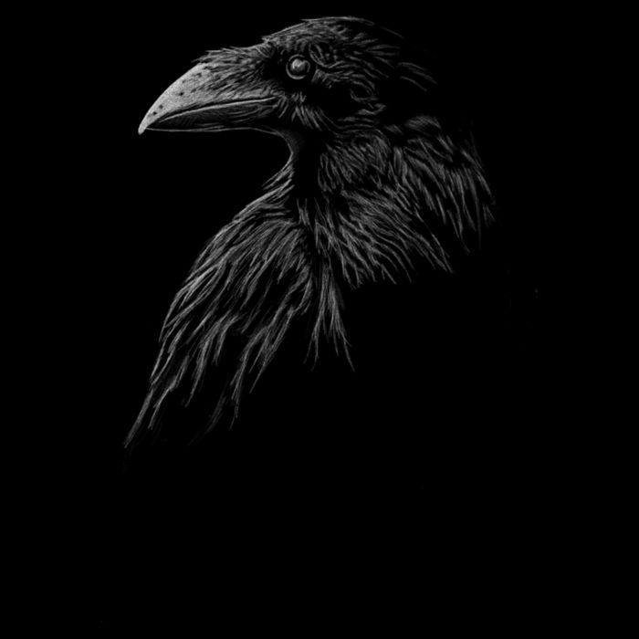 Mystical Black Raven Illustration Crow Artwork Flat Bill Trucker Hat
