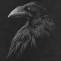 Mystical Black Raven Illustration Crow Artwork Hat