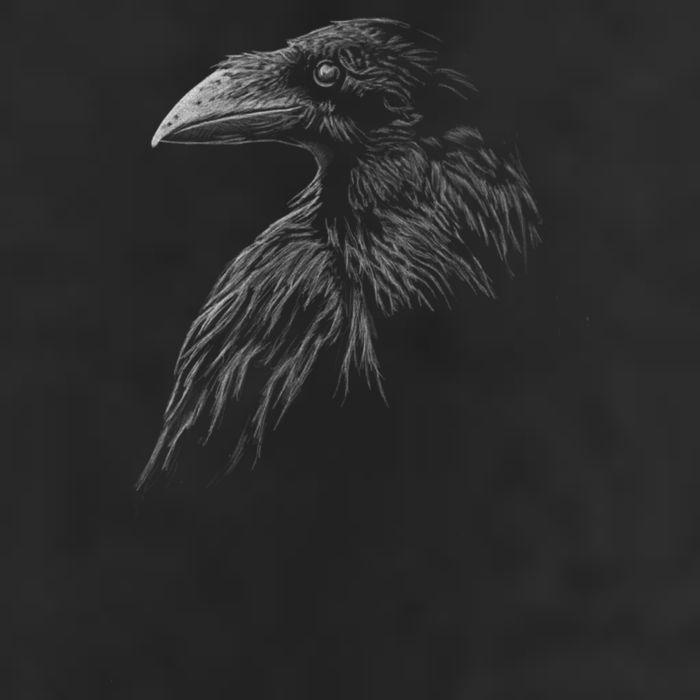 Mystical Black Raven Illustration Crow Artwork Hat