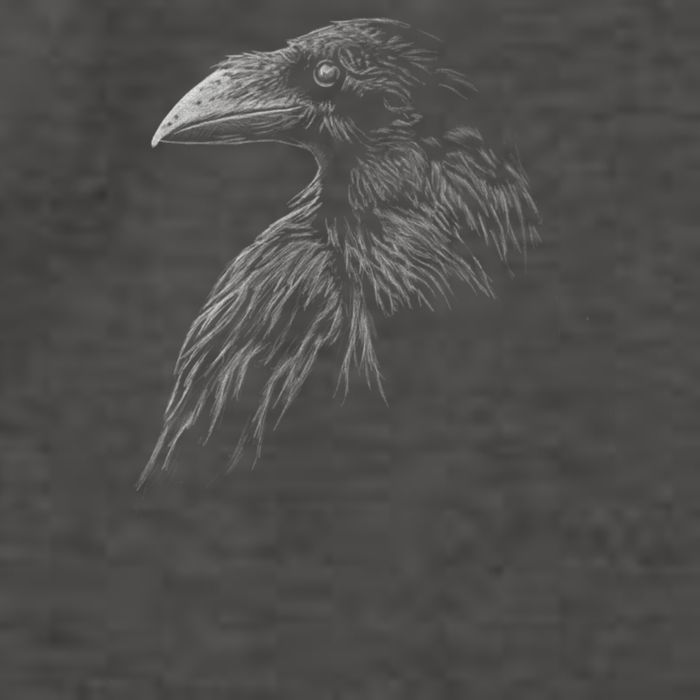Mystical Black Raven Illustration Crow Artwork Vector Backpack