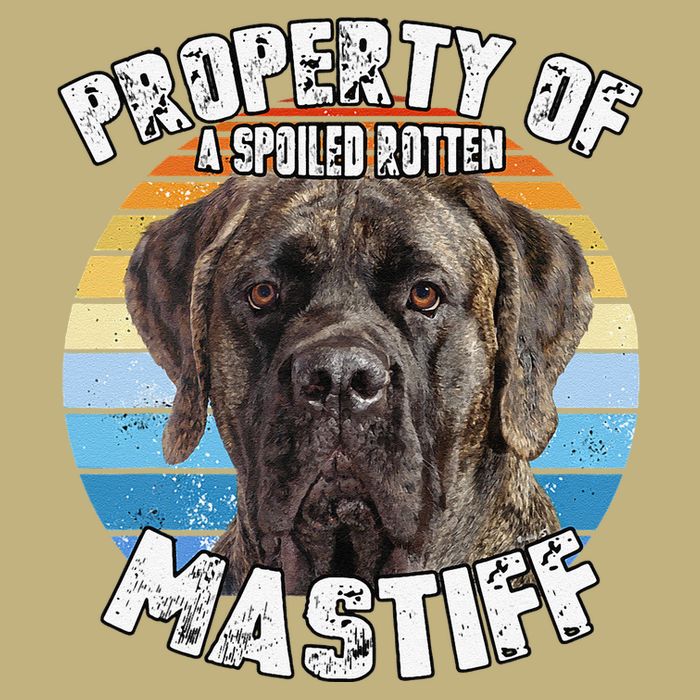 Mastiff Brindle Retro Property Of Cute Dog Long Sleeve Shirt