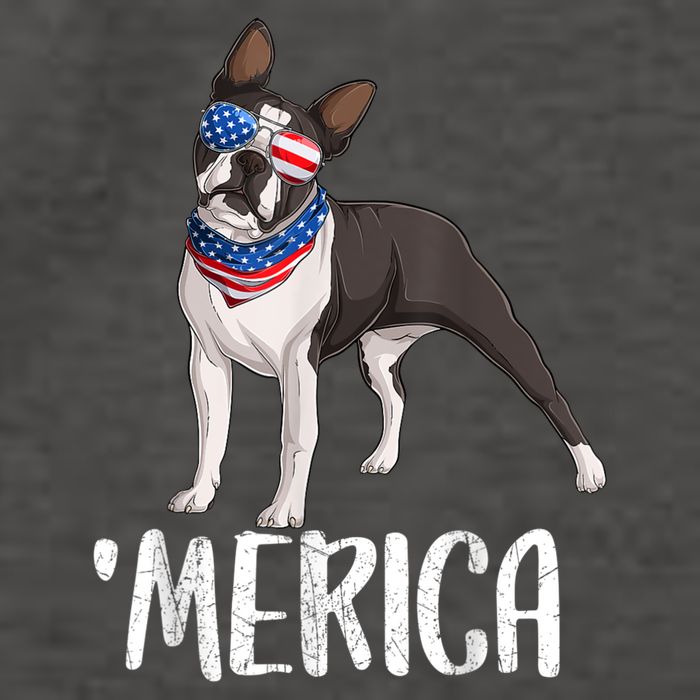 Merica Boston Terrier Dog 4th Of July American Flag Vector Backpack