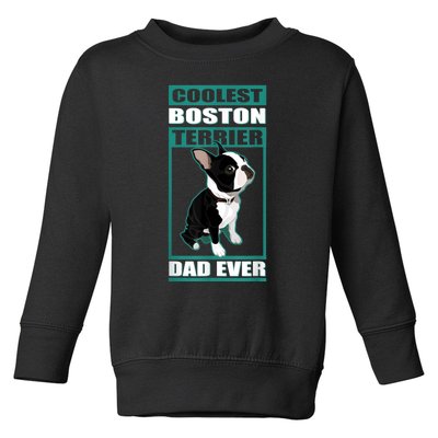 Men Boston Terrier Dad Dog Owner Boston Terrier Toddler Sweatshirt