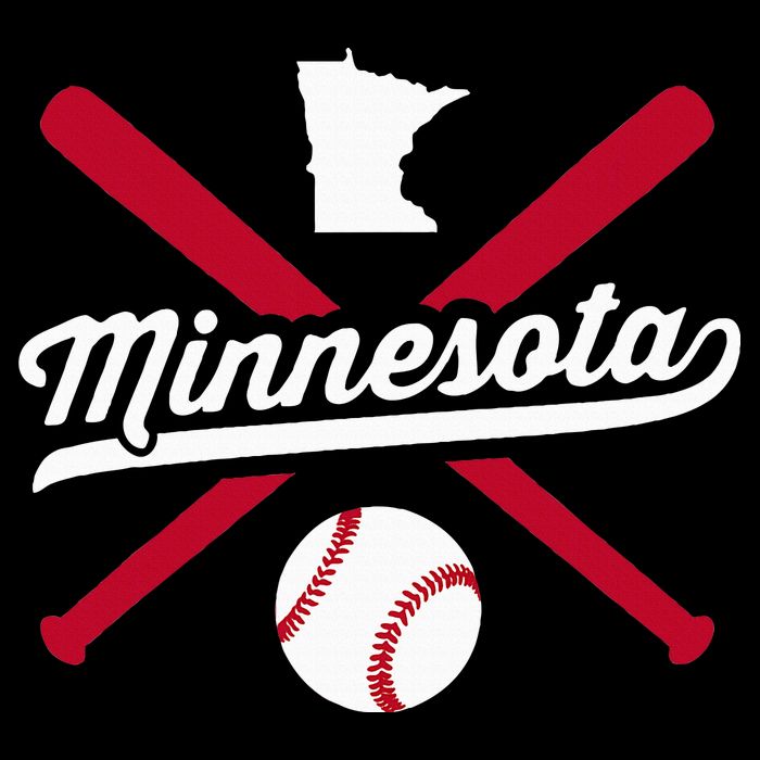 Minnesota Baseball Vintage State Pride Love City Kids T-Shirt