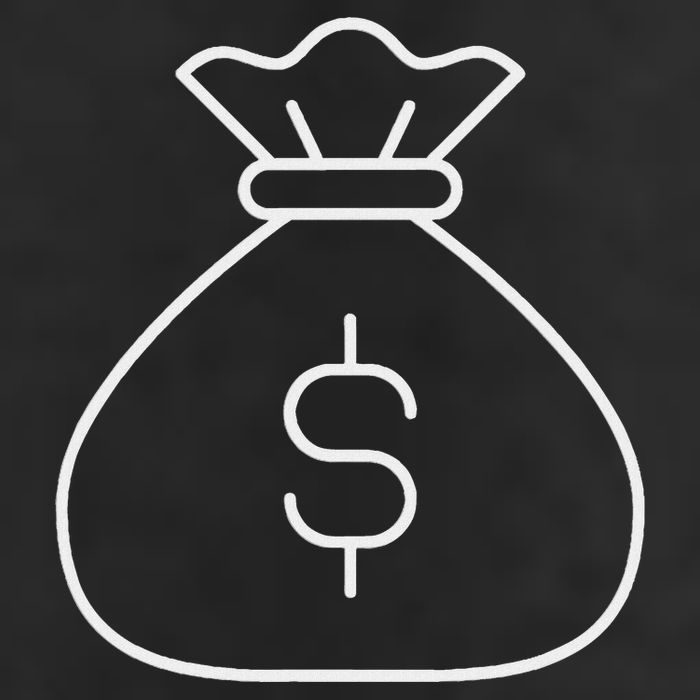 Money Bag With Dollar Sign Simple White Adult Drive Performance Visor