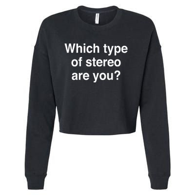 Metro Boomin Which Type Of Stereo Are You Cropped Pullover Crew