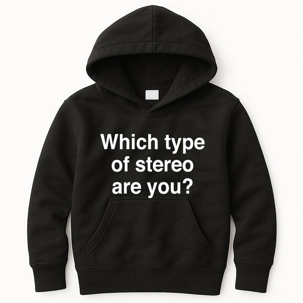 Metro Boomin Which Type Of Stereo Are You Kids Hoodie