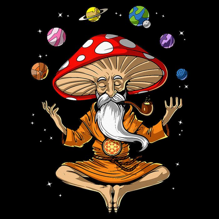 Mushroom Buddha Zen Yoga Meditation Psychedelic Hippie Fungi Toddler Hoodie