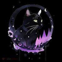 Mysterious Cat 01 16 in Basic Backpack
