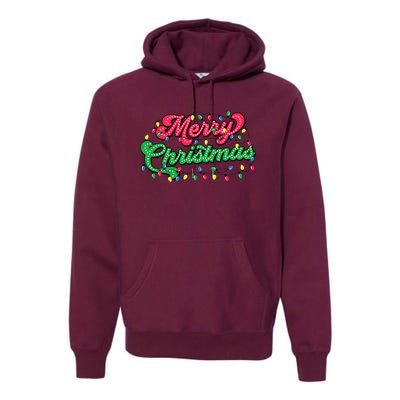 Merry Christmas 2024 Family Matching Christmas Lights Xmas Premium Hoodie