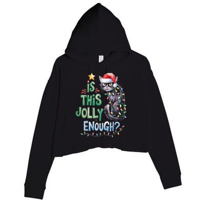 Merry Christmas 2024 Is This Jolly Enough Noel Black Cat Xmas Gift Crop Fleece Hoodie