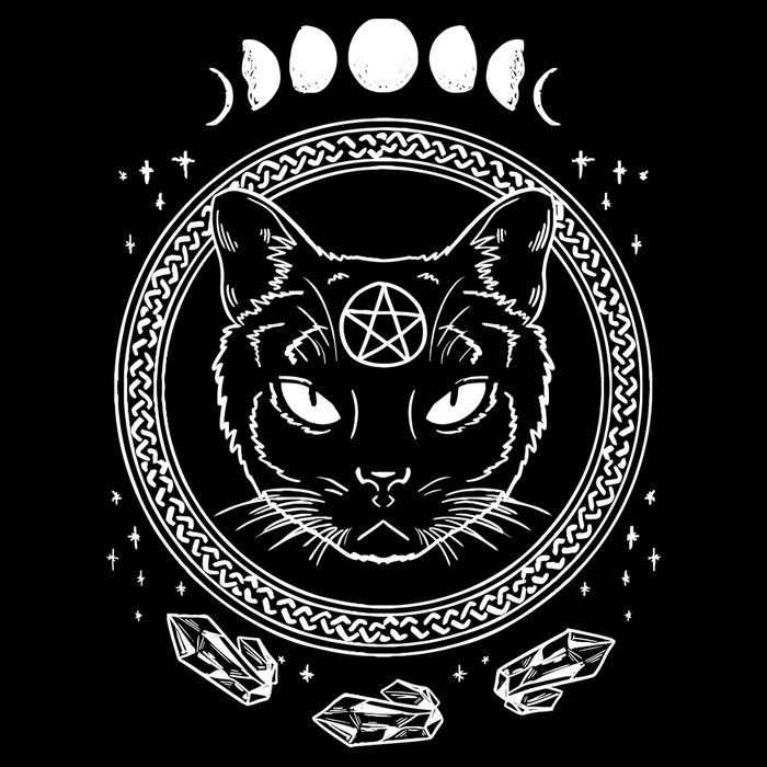 Moon Cat Alchemy Witch Dark Symbols Goth Halloween 16 in Basic Backpack