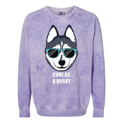 Malamute Cool As A Siberian Husky With Sunglasses Colorblast Crewneck Sweatshirt