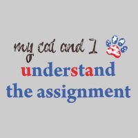 My Cat And I Understand The Assignment Tie-Dye T-Shirt