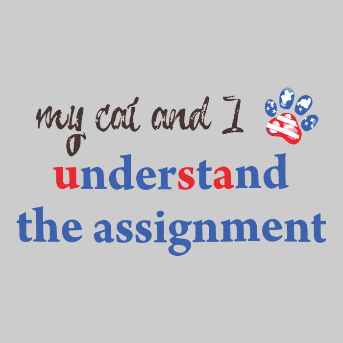 My Cat And I Understand The Assignment Tie-Dye T-Shirt