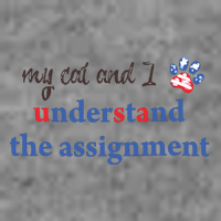 My Cat And I Understand The Assignment 7-Panel Snapback Hat