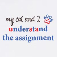 My Cat And I Understand The Assignment Trucker Hat