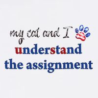 My Cat And I Understand The Assignment Kids T-Shirt