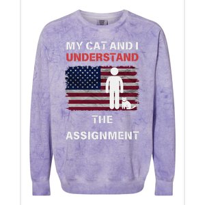 My Cat And I Understand The Assignment Usa Flag Colorblast Crewneck Sweatshirt