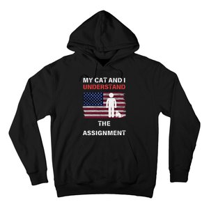 My Cat And I Understand The Assignment Usa Flag Hoodie