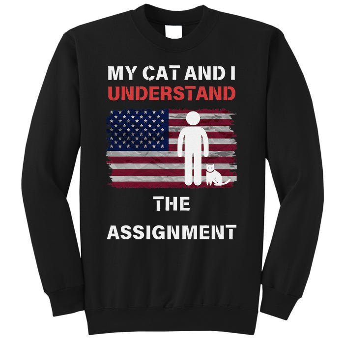 My Cat And I Understand The Assignment Usa Flag Sweatshirt