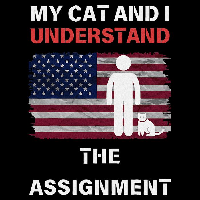 My Cat And I Understand The Assignment Usa Flag T-Shirt