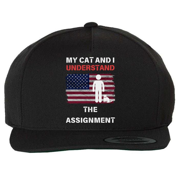 My Cat And I Understand The Assignment Usa Flag Wool Snapback Cap