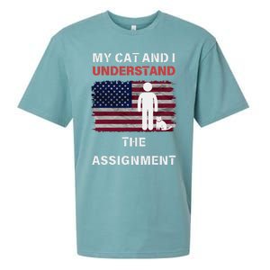 My Cat And I Understand The Assignment Usa Flag Sueded Cloud Jersey T-Shirt