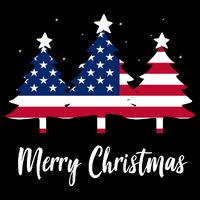 Merry Christmas American Flag Trees Kids T-Shirt