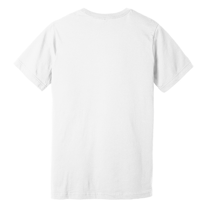 My Cat And I Understand The Assignment Premium T-Shirt