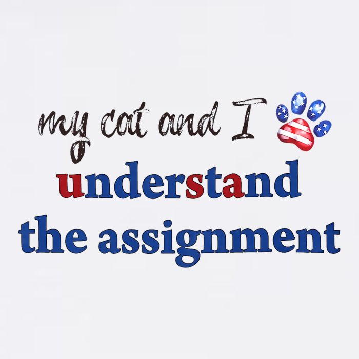 My Cat And I Understand The Assignment Premium T-Shirt
