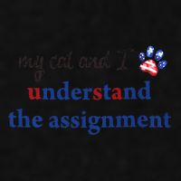 My Cat And I Understand The Assignment Ladies PosiCharge Tri-Blend Wicking Tank