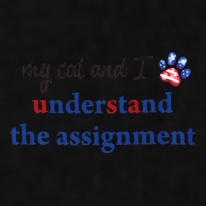 My Cat And I Understand The Assignment Ladies PosiCharge Tri-Blend Wicking Tank
