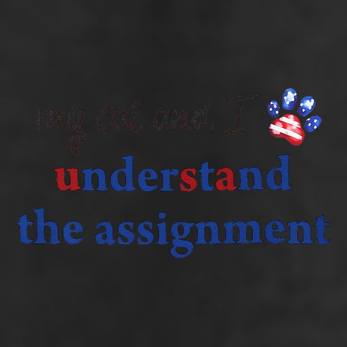 My Cat And I Understand The Assignment 7 Panel Mesh Trucker Snapback Hat