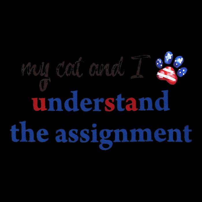 My Cat And I Understand The Assignment Drawstring Bag