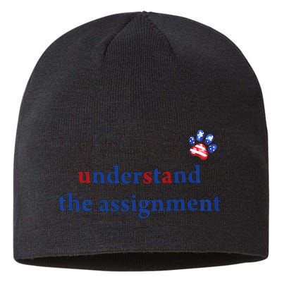 My Cat And I Understand The Assignment Sustainable Beanie