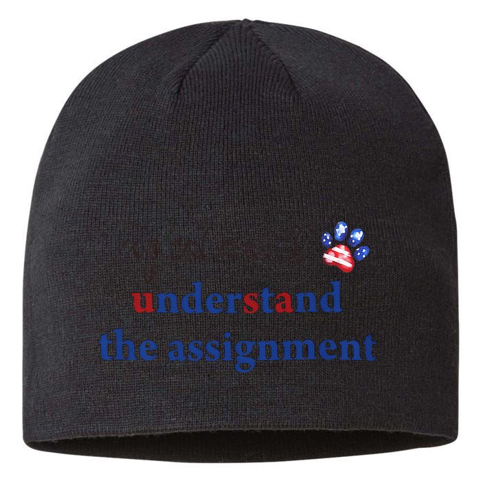 My Cat And I Understand The Assignment Sustainable Beanie