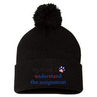 My Cat And I Understand The Assignment Pom Pom 12in Knit Beanie