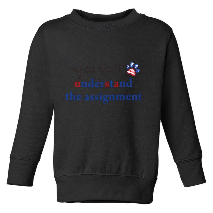 My Cat And I Understand The Assignment Toddler Sweatshirt
