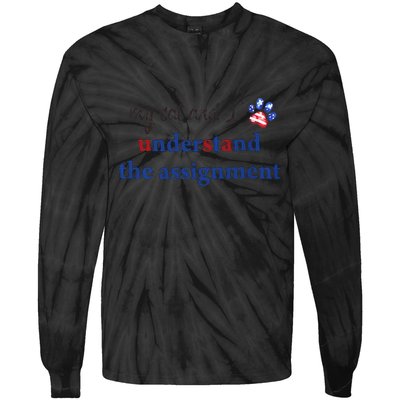 My Cat And I Understand The Assignment Tie-Dye Long Sleeve Shirt