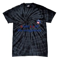My Cat And I Understand The Assignment Tie-Dye T-Shirt