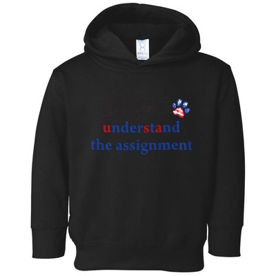 My Cat And I Understand The Assignment Toddler Hoodie