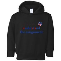 My Cat And I Understand The Assignment Toddler Hoodie