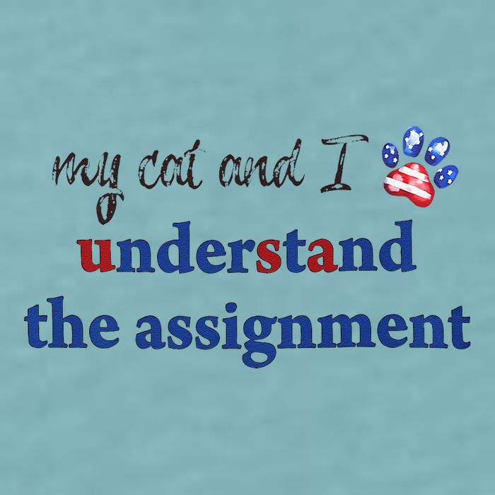 My Cat And I Understand The Assignment Sueded Cloud Jersey T-Shirt