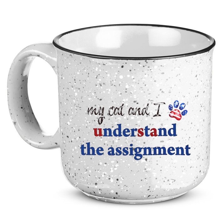 My Cat And I Understand The Assignment 15oz Campfire Ceramic Mug